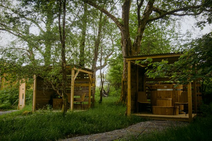 Dingley Dell Woodland.