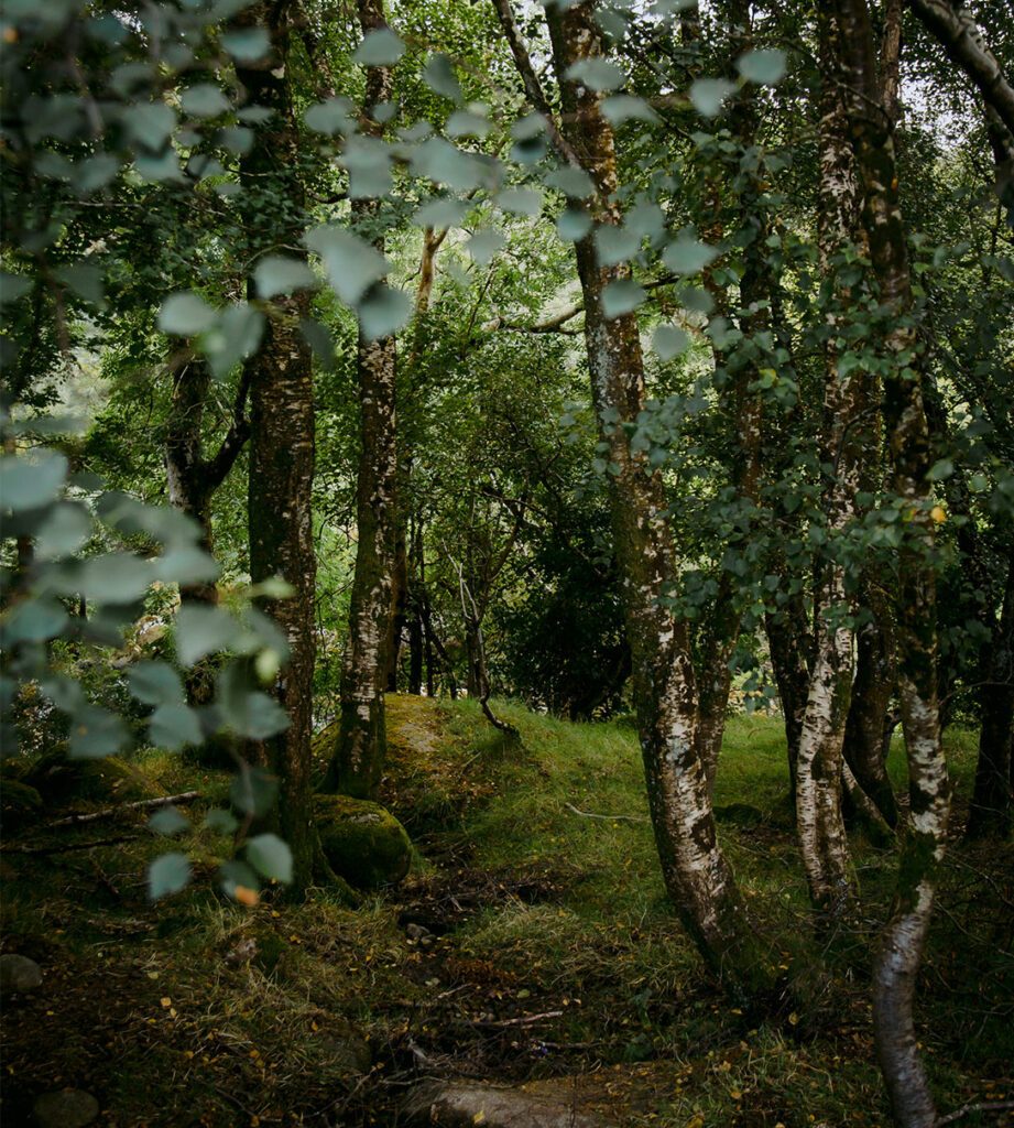 Wellness space Wicklow.