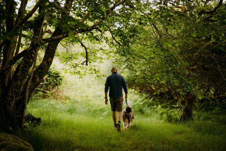 A guest walking his dog through the woodland at The Deerstone.